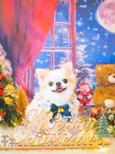あずきちゃん