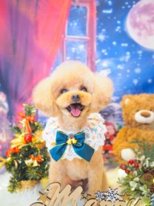 じぇじぇくん