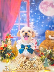 エトワルくん