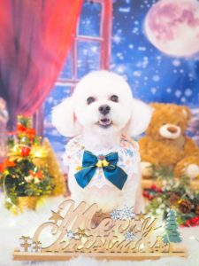 3D069800-256F-4984-B466-74CD00EC2777
