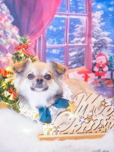 421FE7E7-B547-4D7E-A5A7-BA89B9839AD0