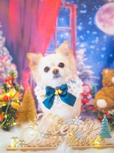 574C2A0A-11CF-4091-AB88-48C358DAB581