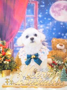 ふうたくん