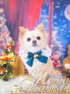 809CC444-F658-4AEC-BCEE-81EE01F2F438