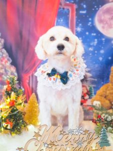 AB66CB2A-8D55-4274-9B18-72325C42970A