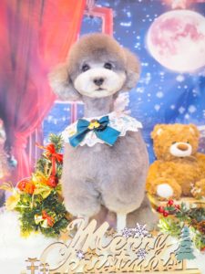 ゴン太くん