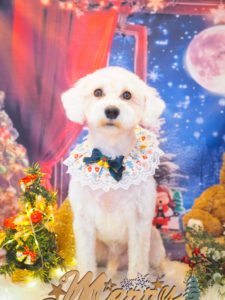 CB7CA738-1A25-462D-8BCD-BDDECB1492C5