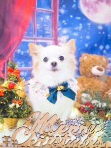 くぅくん