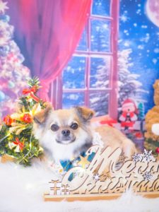 EA9E1C3E-2835-4168-B515-F3E018559D00