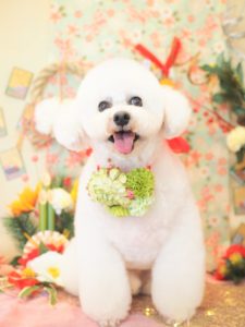2F9A6567-225D-41F8-BFF2-491D79951A9D