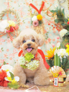 6FF7A728-B75D-4967-A7FA-3E8FE0448387