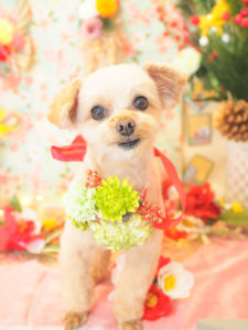 778A2278-82CB-4A7E-8B54-D9A36330E0D8