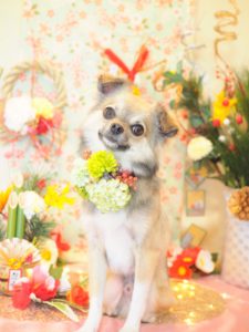ADF3B7CC-E9CD-414E-BE70-59325A8D300C