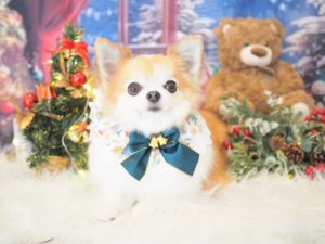 空ちゃん