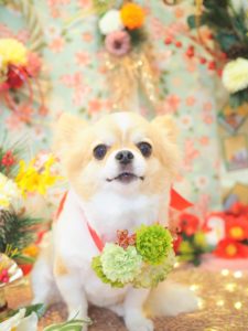 C96B3441-368B-465B-8546-4F9BC039BBF6