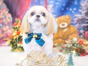 DDB01499-5DDB-467C-A55C-5776250DD16F