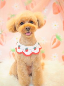 ムーちゃん