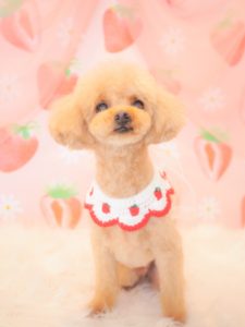 じぇじぇくん
