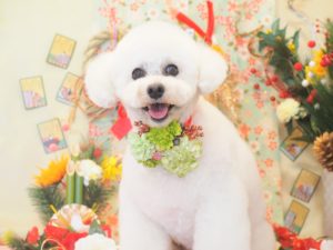 はるくん
