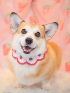 ぽのちゃん
