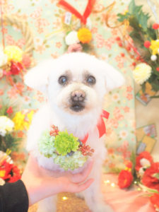 AA4B1C2C-3B22-4EBC-A483-F1830486B2CD