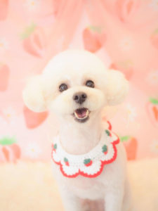 もぐちゃん