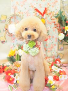B328E817-1DB0-4F82-803C-8739F48D0C2A
