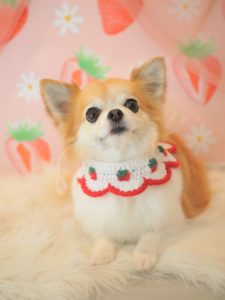 空ちゃん