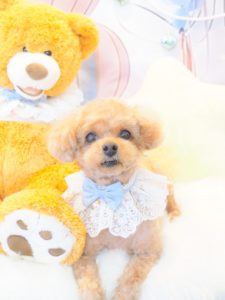 クーくん