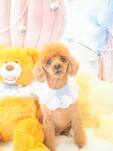 おこげくん＆ころもちゃん