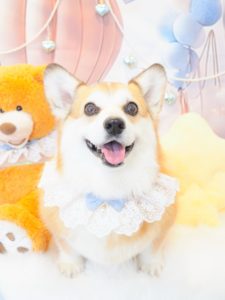 ぽのちゃん