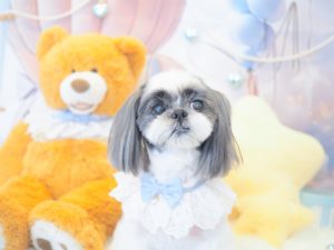 クロエちゃん＆サラちゃん