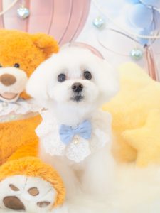 あられちゃん＆おかきちゃん