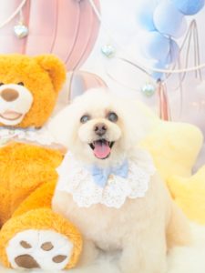 リリちゃん
