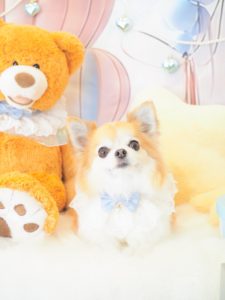 空ちゃん