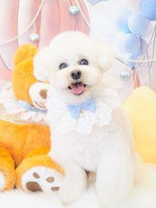 4CA9F78C-30ED-4F59-B387-3D7787A9DD71