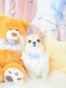 577F078E-BCD4-42BB-A672-05F646DE7A87