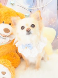 リンちゃん＆ルイくん