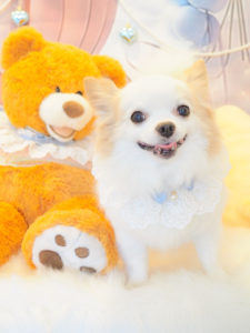 くぅくん