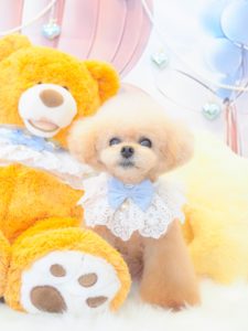 まはろちゃん＆ろあちゃん