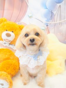 ナッツくん