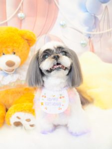 クロエちゃん＆サラちゃん