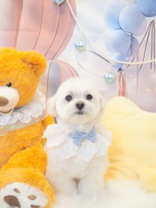 ふうたくん