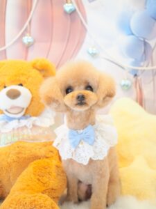 じぇじぇくん