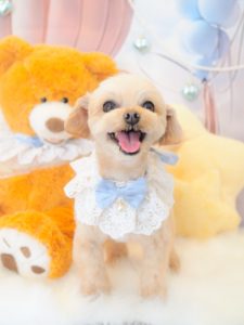 エトワルくん