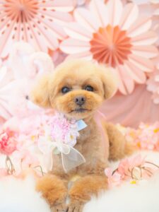 BE0576BF-B2EE-4CCF-8E55-F5E152CB060D