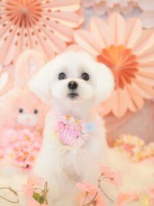 F29BD99C-49C8-401F-A1A5-8210462D8114
