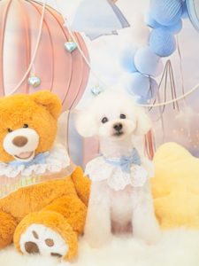 ミルクちゃん＆ショコラちゃん＆こころちゃん