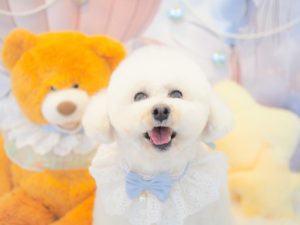はるくん