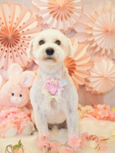 P3260958